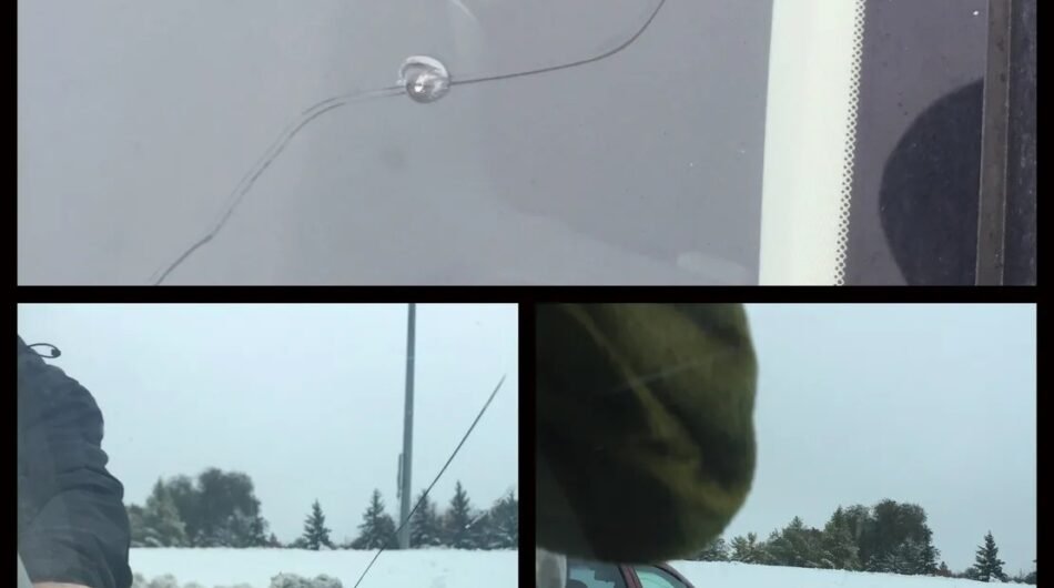 imgi_117_rsw_1110cg_true