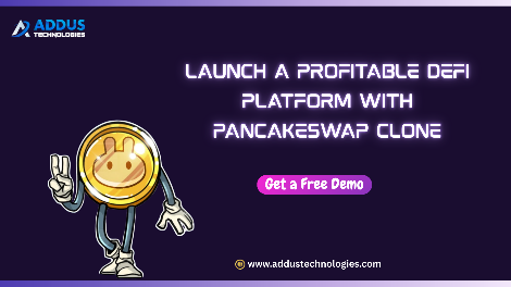 imresizer-Pancakeswap-clone-script