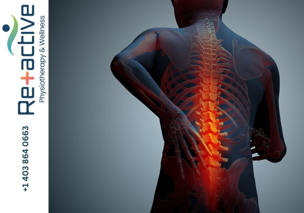 Reactive Clinic – Advanced Physiotherapy in Sylvan Lake