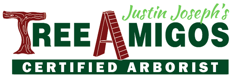 tree-amigos-logo-1