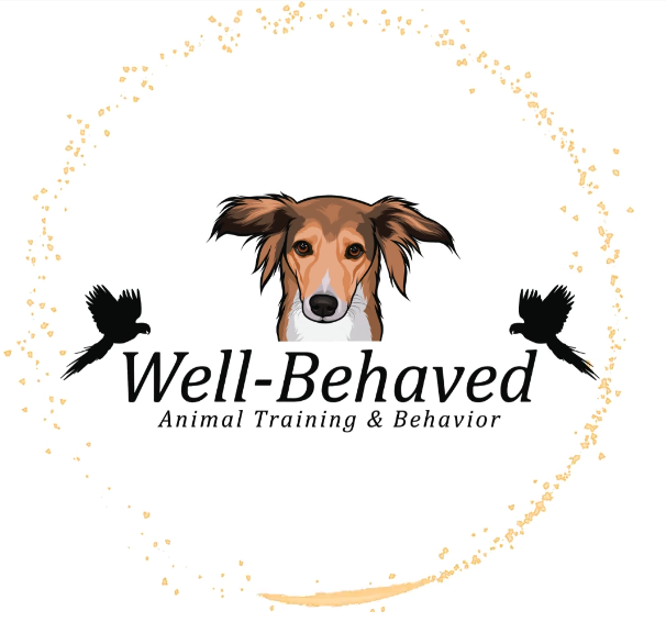 Well Behaved – Expert Basic Dog Training in Dubai