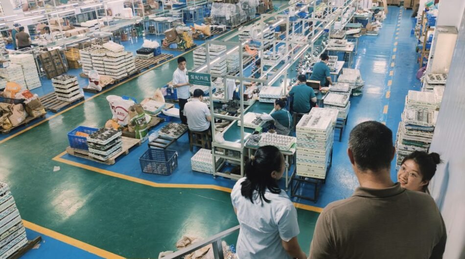 2025-06-02-173947-1024×768-1