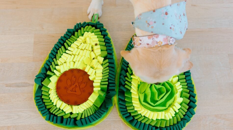 Discover top-rated dog enrichment mats and toys for mental stimulation at PawzND