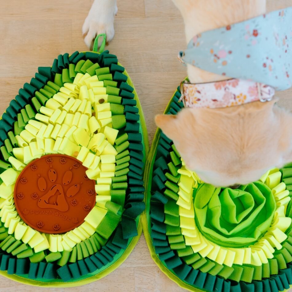 493278195_1203132078487406_3339845554831962631_n