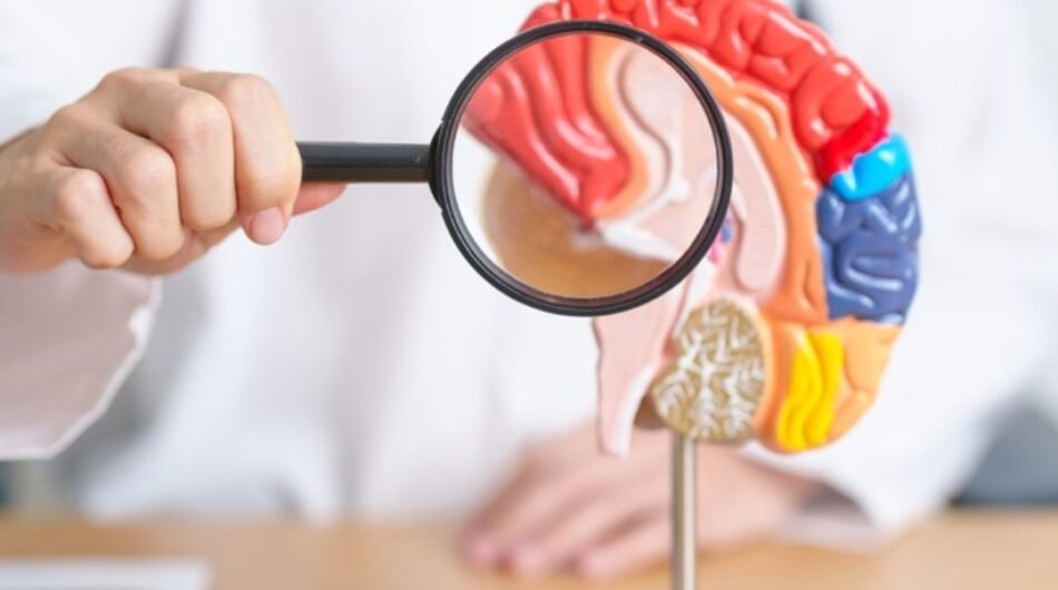 Brain-Tumor-Surgery-in-India-BD