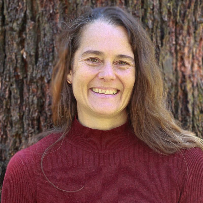 Fiona Schipke Counsellor and EFT Practitioner