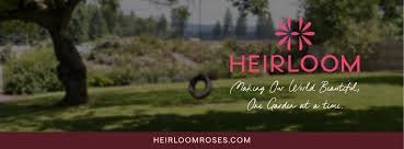 Heirloom-Roses