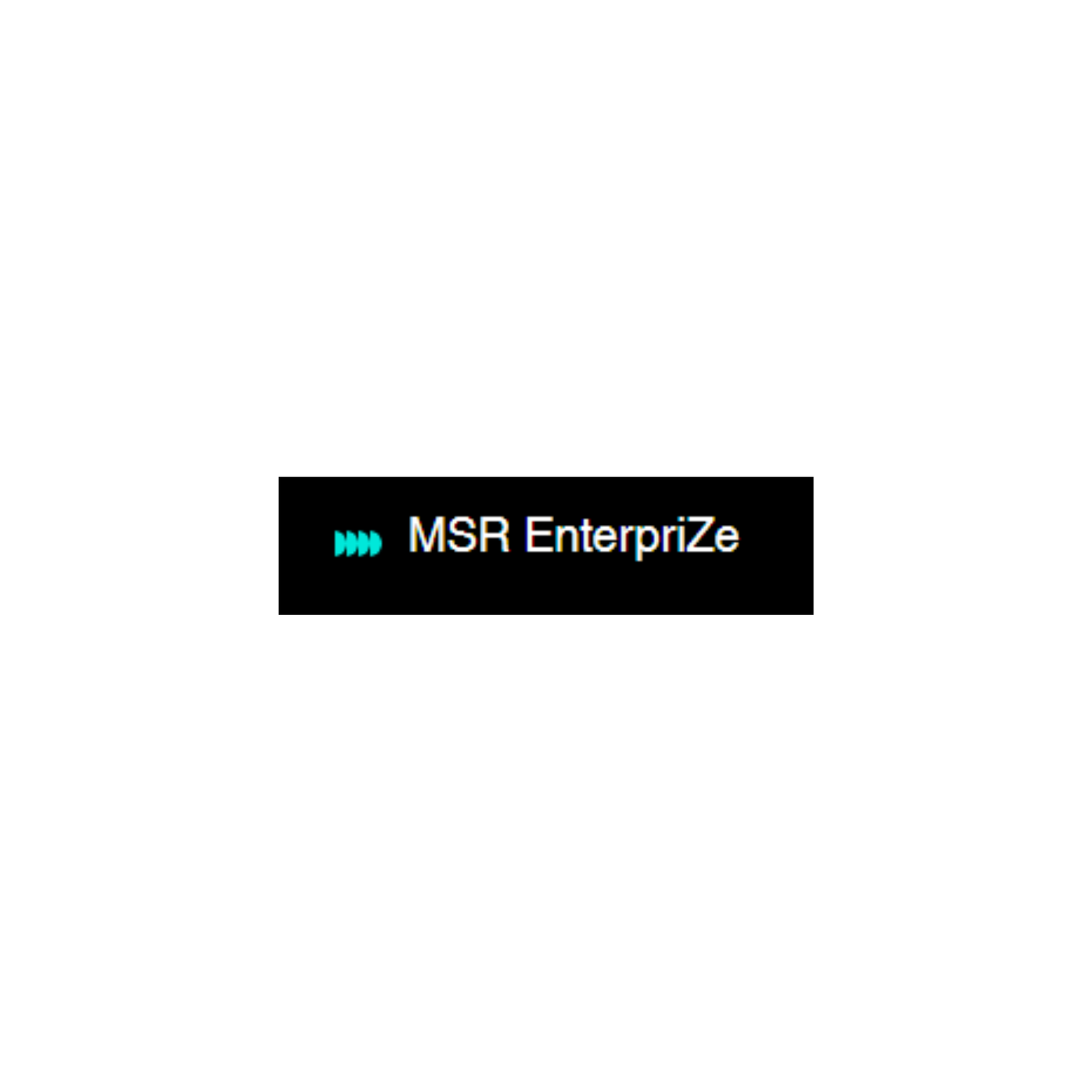 MSR Enterprize
