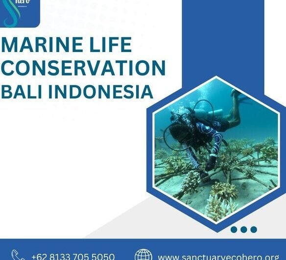 Marine-life-conservation-Bali-Indonesia
