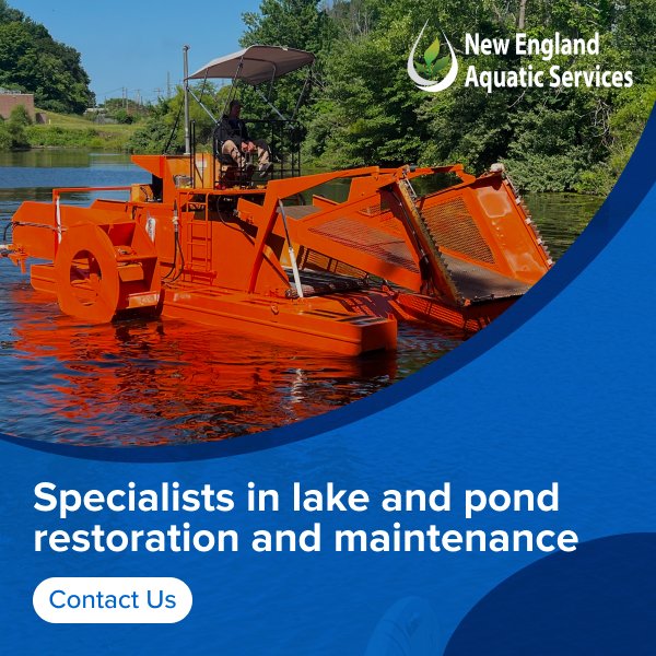 New England Aquatic Services