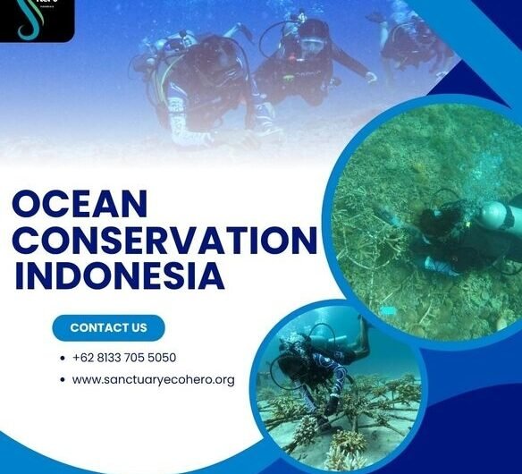 Ocean-Conservation-Indonesia