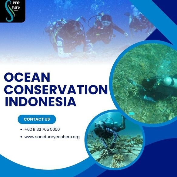 Ocean Conservation Indonesia