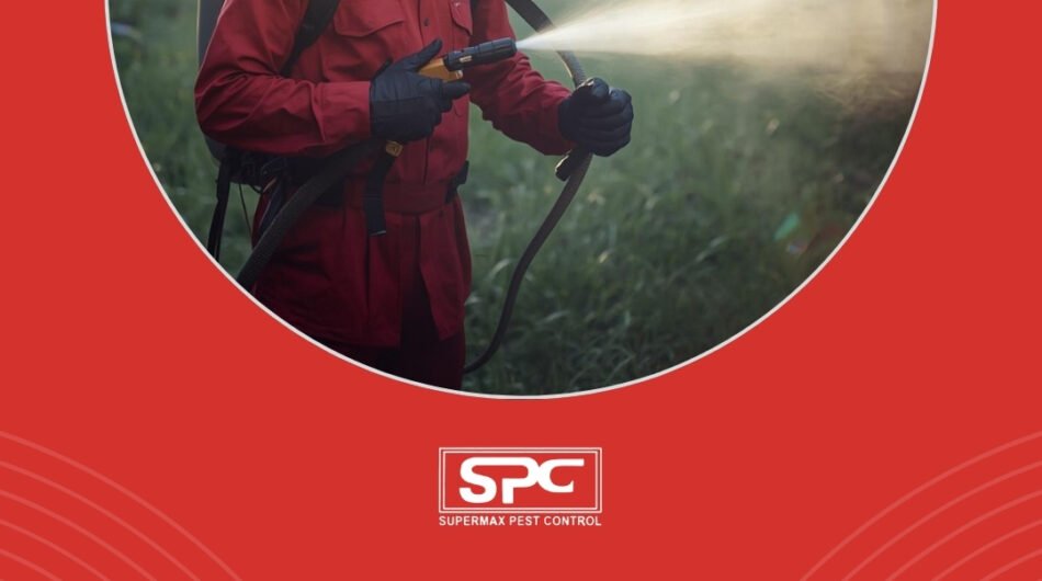 Pest-control-service-in-Mumbai-2
