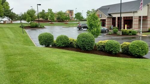 Premium-Home-Landscaping-Orlando