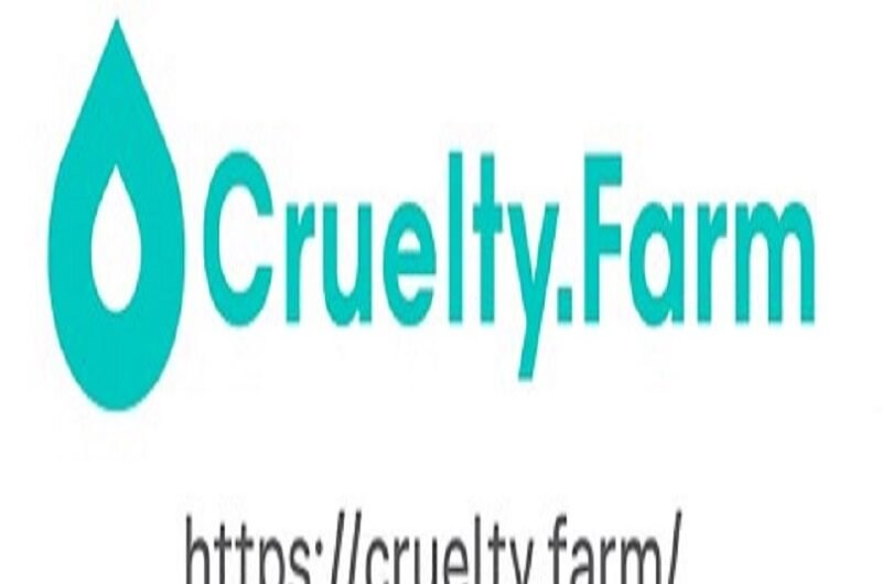 Screenshot-2025-07-22-190230-Copy