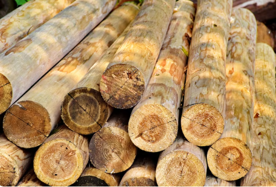 Screenshot-2026-04-20-231810