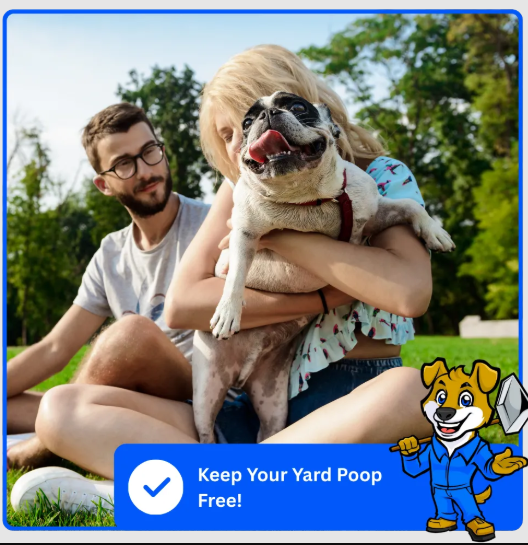 Reliable Dog Poop Pickup Service in DFW for Clean Yards