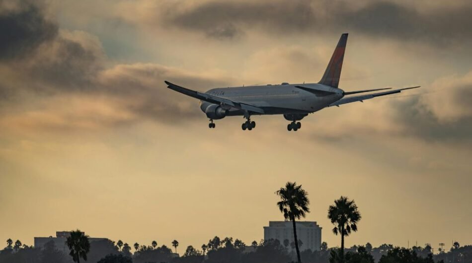 Untitled-design-19-1