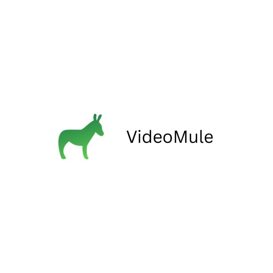 VideoMule-logo-1
