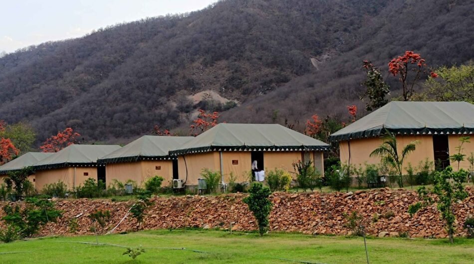 Chokhiwadi Forest Retreat | Best Resort In Sariska