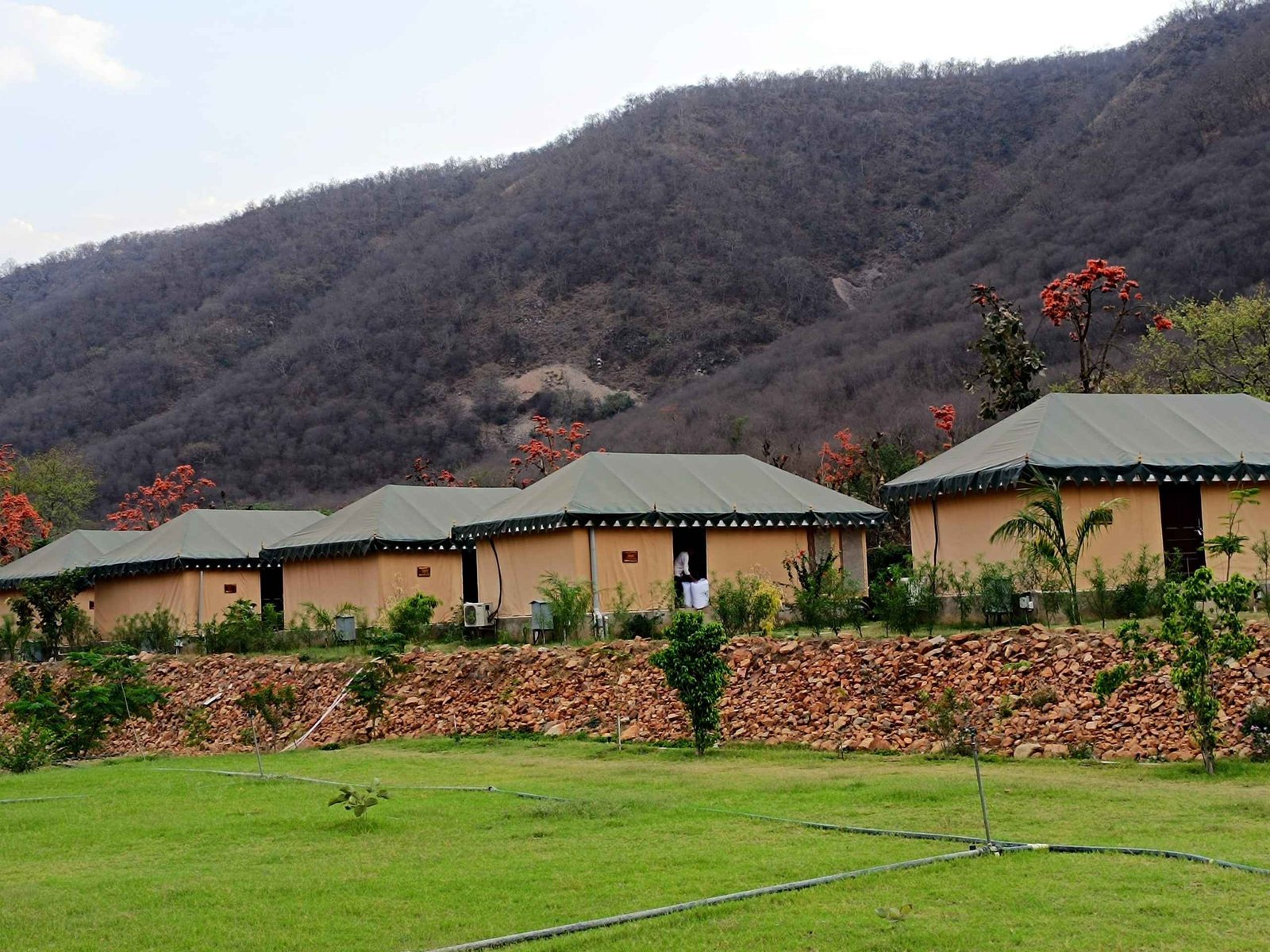 Chokhiwadi Forest Retreat | Best Resort In Sariska