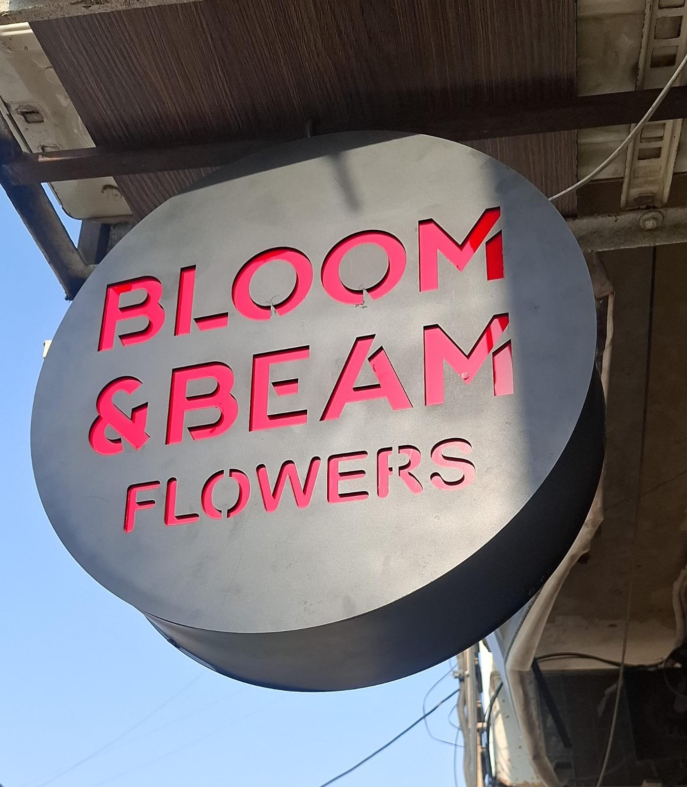 Bloom and beam flowers