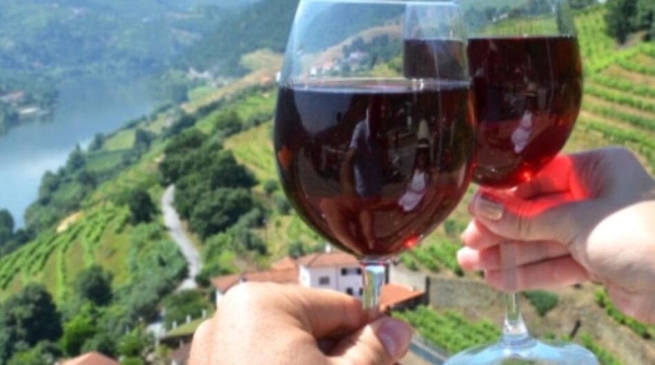 Wine-Tours-in-Douro-Valley
