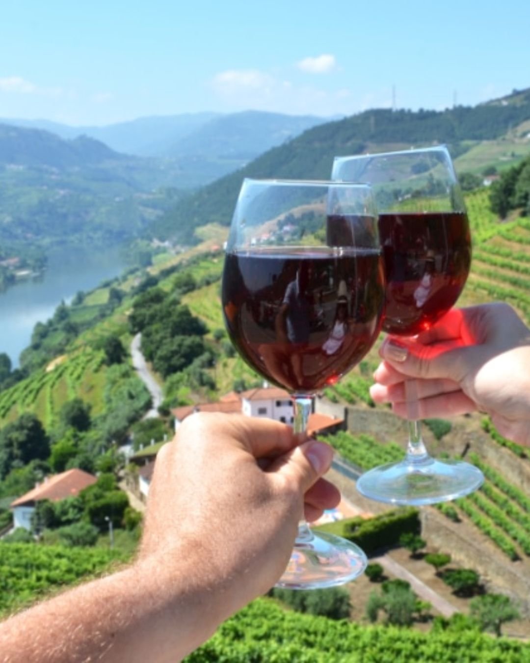 Wine Tours in Douro Valley