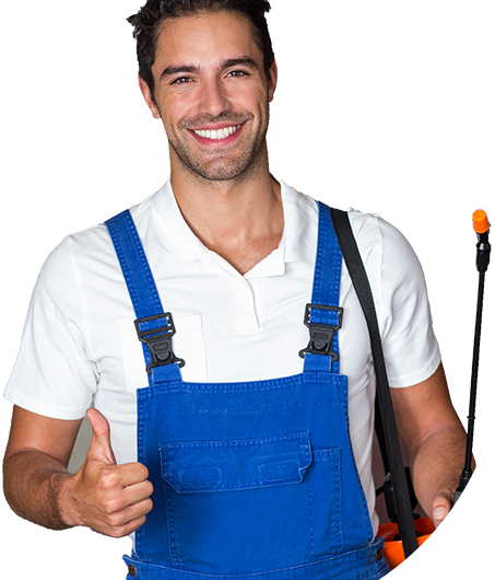 cassini-pest-control