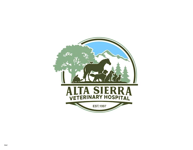 create-a-professional-illustration-sports-mascot-animal-cartoon-logo-5