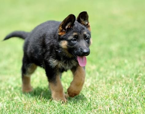 d55be9b6195c1467dc86e320c2ff63e4