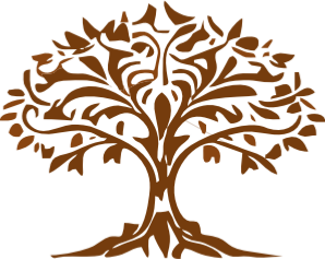 Turmeric Extract Manufacturers in India | Bulk Supply