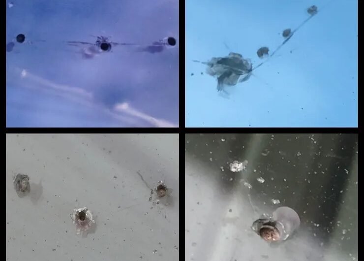 imgi_131_rsw_740cg_truem