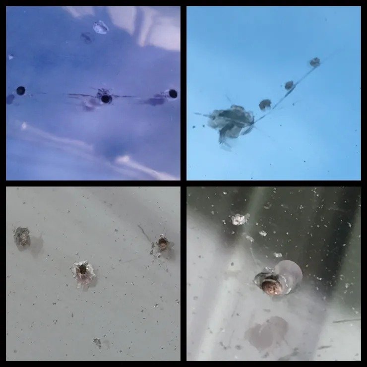 imgi_131_rsw_740cg_truem