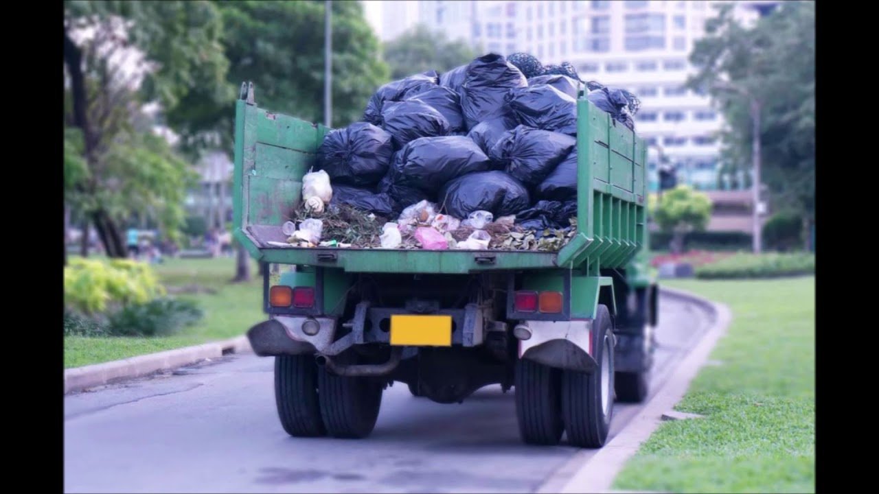 Worried About Mold Issues in Your Property?