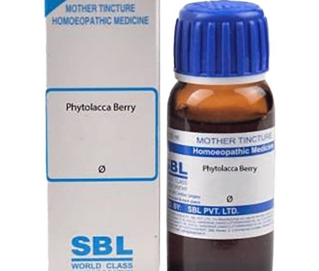 phytolacca-berry-uses-in-hindi