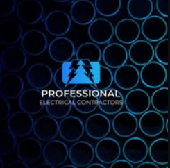 professional-logo-20260405081944