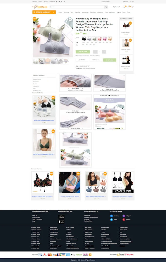 Fix Website Domain Hosting Issues and Critical Errors Fast Service
