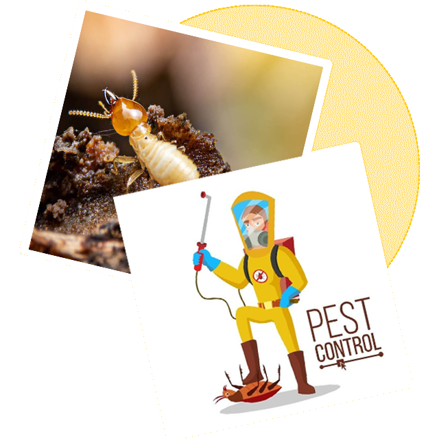 Sorna Valli Pest Control