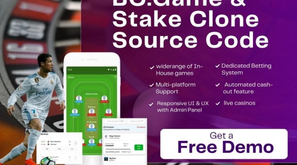 Dappsfirm-BC.Game-and-Stake-Clone-Source-Code