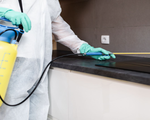 end-of-lease-pest-control