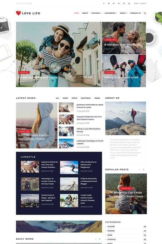 WordPress websites and develop professional blog websites