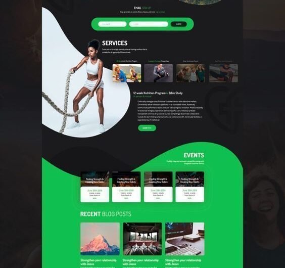 WordPress websites and develop professional blog websites