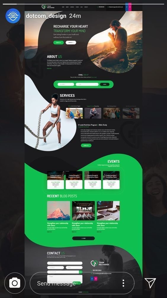 WordPress websites and develop professional blog websites