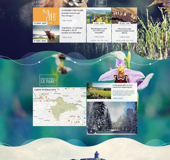 I-build-many-kinds-of-Responsive-Word-Press-website-design-with-positive-feedback-21