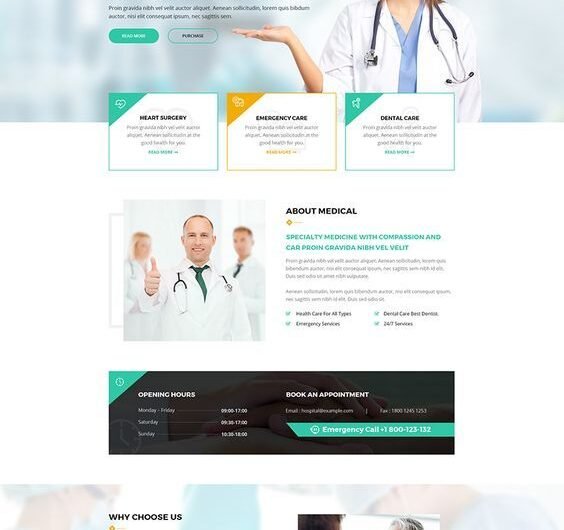 Responsive WordPress Website Design for Your Company and Business