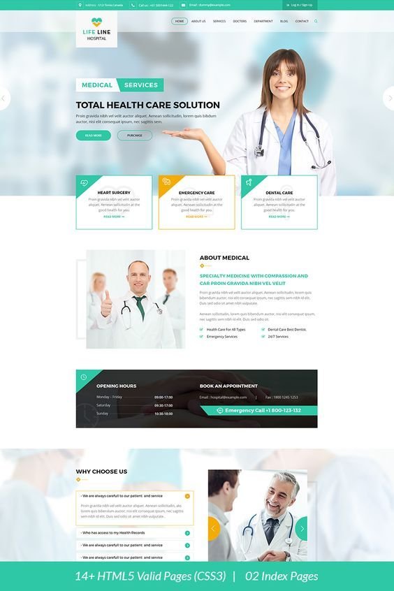 Responsive WordPress Website Design for Your Company and Business