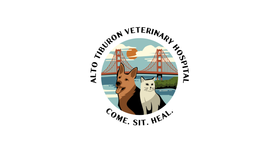 I-will-do-modern-animal-dog-pet-care-veterinary-logo-3