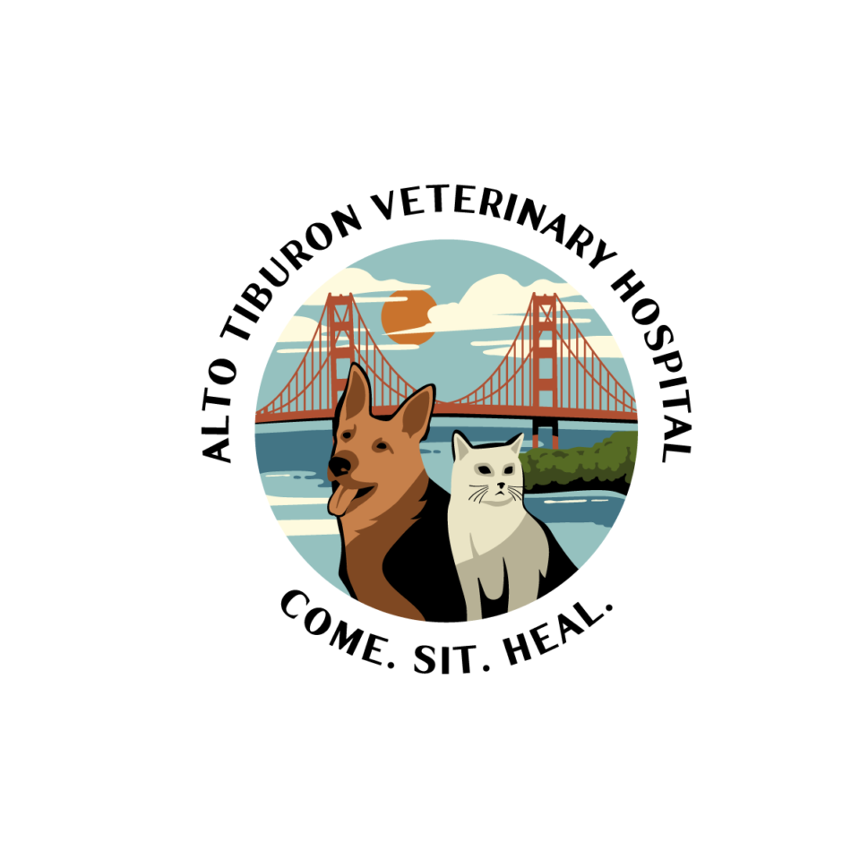 I-will-do-modern-animal-dog-pet-care-veterinary-logo-3