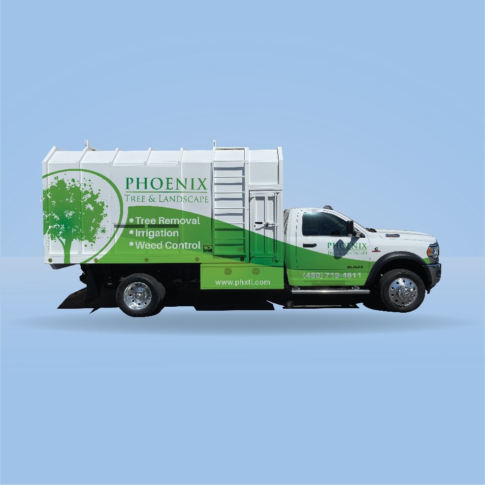 I Will Design a Modern Transport Logistics and Trucking Logo